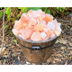 Himalayan Crystal Pink Salt Rock for Optimal Muscle Health Rich in 84 Life Minerals