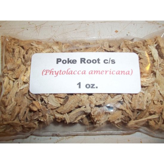 Poke Root Wildcrafted Pure and Potent Detox Support - Phytolacca americana 1oz
