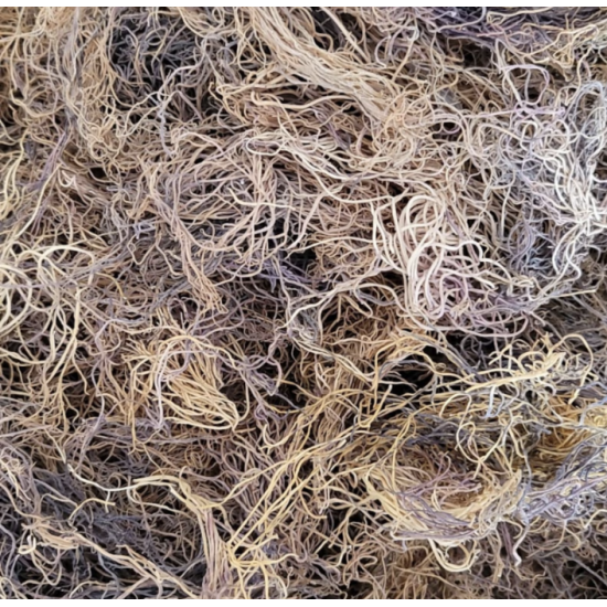 Discover the Health Benefits of HONDURAS Raw Sea Moss (Chondrus Crispus) - Approved by Dr. Sebi