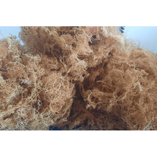 Sea Moss/irish moss is 100% pure organic purple wild crafted from Jamaican/Caribbean (Dr. Sebi Approved).  8oz