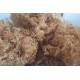 Sea Moss/irish moss is 100% pure organic gold wild crafted from Jamaican/Caribbean Dr. Sebi Approved.  4oz