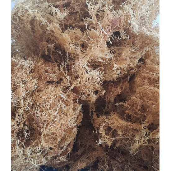 Sea Moss from Vegan Choice Foods is 100% Pure (Dr. Sebi Approved) Organic Gold  Wild Crafted from the Rocks of the ocean 1lbs