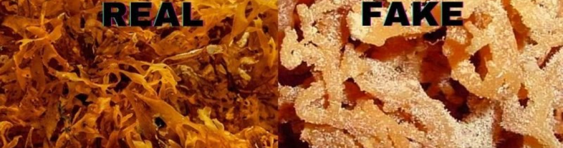 Real vs. Fake: How To Tell Your Sea Moss is Real