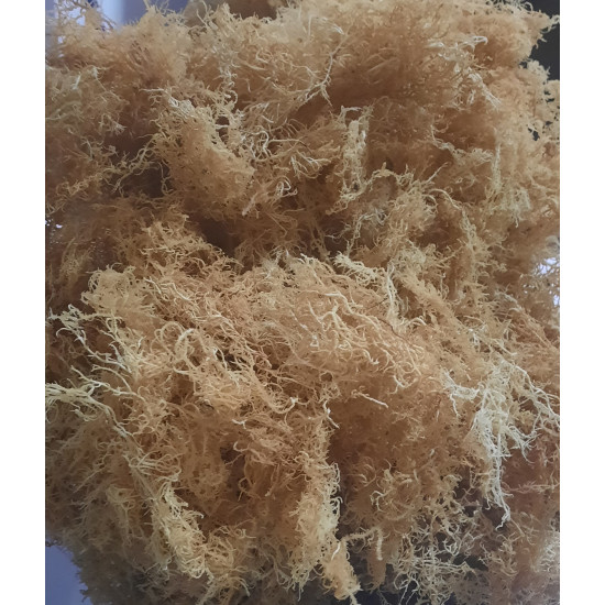 Sea Moss/irish moss is a 100% pure organic gold wild crafted from Jamaican/Caribbean Dr. Sebi Approved.  1lbs