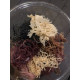 Sea Moss Gift Pack 3 Types Wildcrafted Jamaican , St Lucia & Atlantic Chondrus Dr. Sebi Approved 3 oz