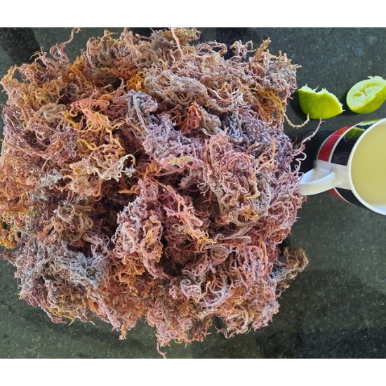 Sea Moss Purple Dried/Irish Moss (Dr. Sebi Approved) 100% Wildcrafted- From Zanzibar Beach Price 1lbs