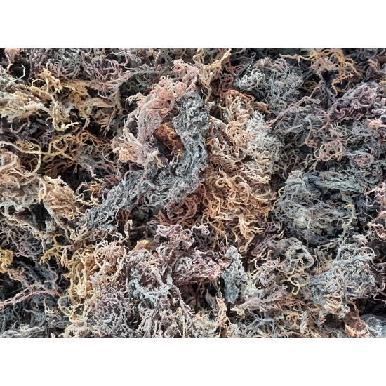 Sea Moss Purple Dried/Irish Moss (Dr. Sebi Approved) 100% Wildcrafted-From The Beach Of Zanzibar Tanzania  1 4oz Pack