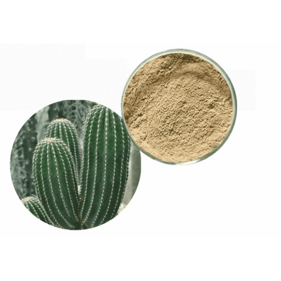 Premium San Pedro Powder: Authentic and Potent Cactus Powder for Traditional Shamanic and Medicinal Use