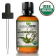 Pure and Natural Eucalyptus Essential Oil eases joint pain like osteoarthritis and rheumatoid arthritis