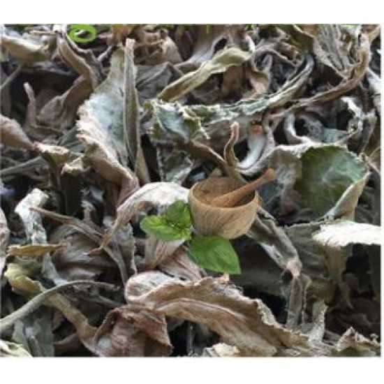 Search Mi Heart- (Rhytidophyllum tomentosum) Loose leaves -Organic- Wild Grown Jamaican Medicinal Herb