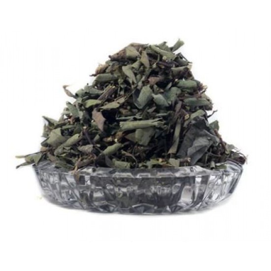 Strong Back Jamaican Herb (Desmodium Incanum) - Loose leaves -Organic- Sexual Performance Herb 4oz