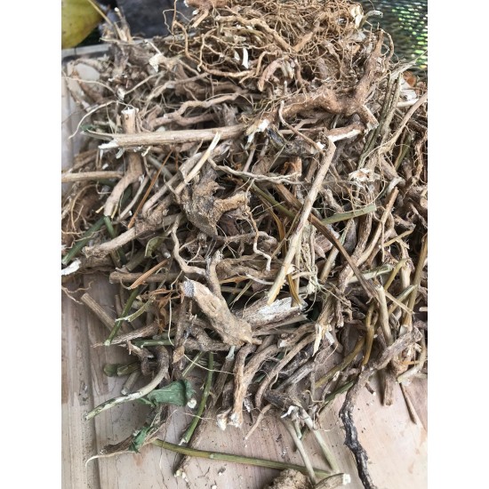 Guinea Hen Weed Root (Anamu Dr. Sebi Herbs) Wild crafted harvested in Jamaica  8oz 