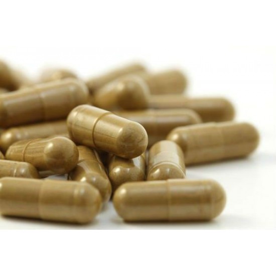 Dr. Sebi Approved Herbs Herbal Iron 100 Capsules- Yellow Dock, Sarsaparilla, Burdock Root & Chaparral