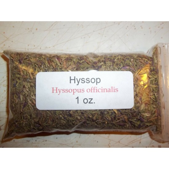 1 oz. Hyssop  (Hyssopus officinalis)