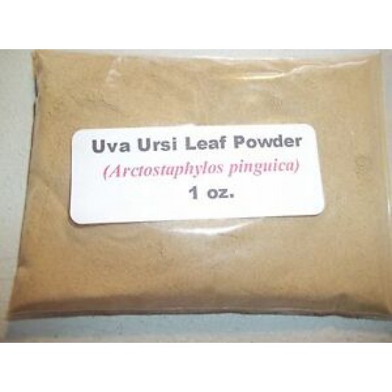 Uva Ursi Leaf Powder (Arctostaphylos uva ursi) 1 oz. 