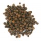 ALLSPICE  (Pimenta dioica)  making you feel more energized. Manganese  helps your body metabolize glucose.
