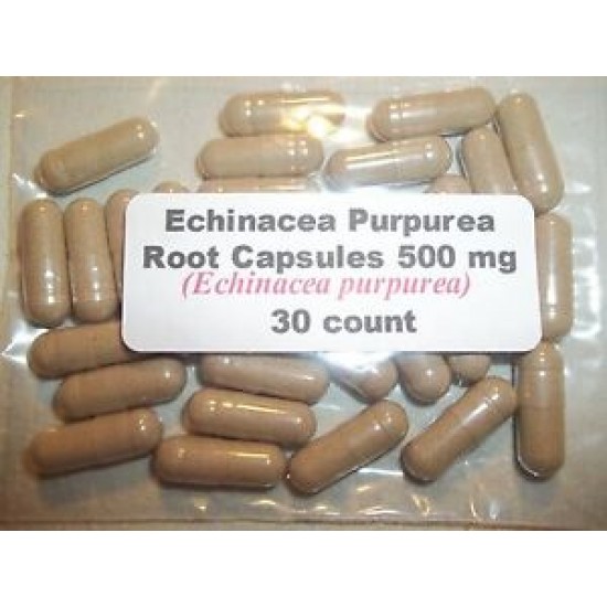 Echinacea Purpurea Root Powder Capsules (Echinacea purpurea) 500 mg - 30 count