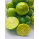  Fresh Key Limes with seeds Key Lime Detoxic cleanse is an easy way to detoxify your body from harmful toxins. It’s also great for weight loss. 3lbs 