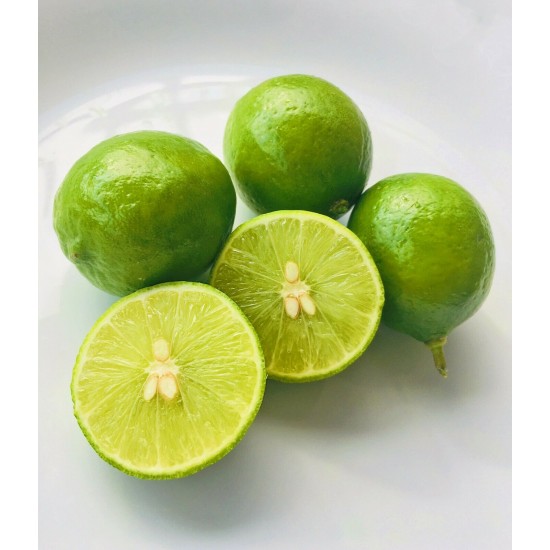  Fresh Key Limes with seeds 3lbs 