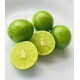 Fresh Key Limes with seeds 3lbs 