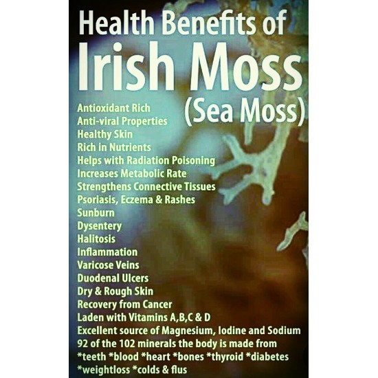 Sea Moss  Organic Gold WILD CRAFTED Full spectrum Real Deal Jamaican irish moss Dr. Sebi Approved moss  4oz
