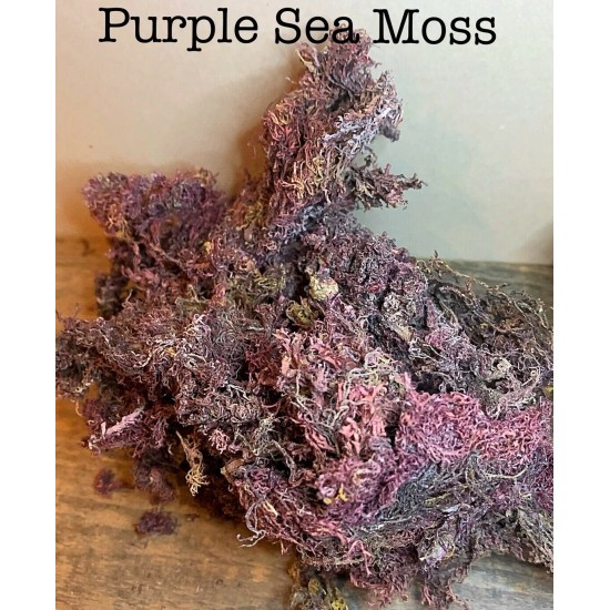  Sea Moss Purple Dried/Irish Moss (Dr. Sebi Approved) 100% Wildcrafted- From Zanzibar Beach Wholesale Price 5lbs