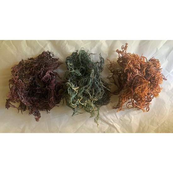   Sea Moss WILDCRAFTED Gift Pack of 3 type Dr. Sebi Approved Sea Moss - Eucheuma type - St Lucia 3 oz