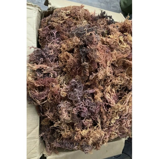 Sea Moss Purple Dried/Irish Moss (Dr. Sebi Approved) 100% Wildcrafted- From Zanzibar  Wholesale Price with FREE UPS Shipping 44lbs/20kg