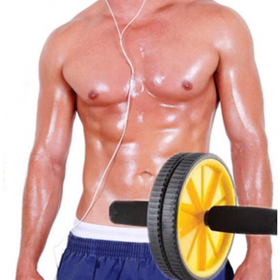 ABS MASTER DUAL WHEEL POWER ROLLER Body Workout Exerciser 