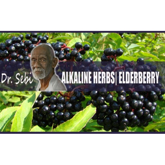 Elderberry Flower & Berries Whole Boosting Your Immune System- coughs, flu,