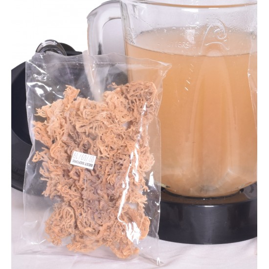 8 oz Sea Moss Dried/Irish Moss (Dr. Sebi Recommended) 100% Wildcrafted- From the Caribbean 1 8oz Pack 