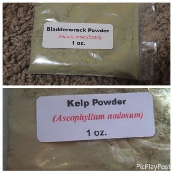7 Days  Mucus , Toxin & Inflammation Remover With - Dr. Sebi 12 Approved Herbs In Powder 28g Each